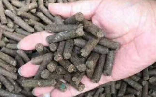 水果渣越來越受歡迎，因為它的出現(xiàn)—生物質(zhì)顆粒機設(shè)備