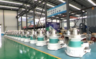 新手開顆粒廠，該選小型還是大型木屑顆粒機(jī)？