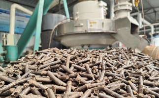 村里的廢木頭 農(nóng)作物秸稈怎么辦？有木屑顆粒機(jī)，好解決